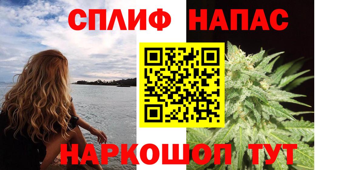 Конопля SATIVA & INDICA Краснознаменск